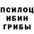 Галлюциногенные грибы Psilocybine cubensis GEORGIA COOK