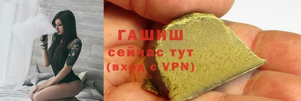 стафф Касимов