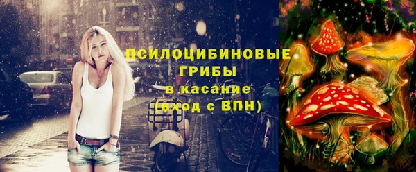 jwh Карпинск
