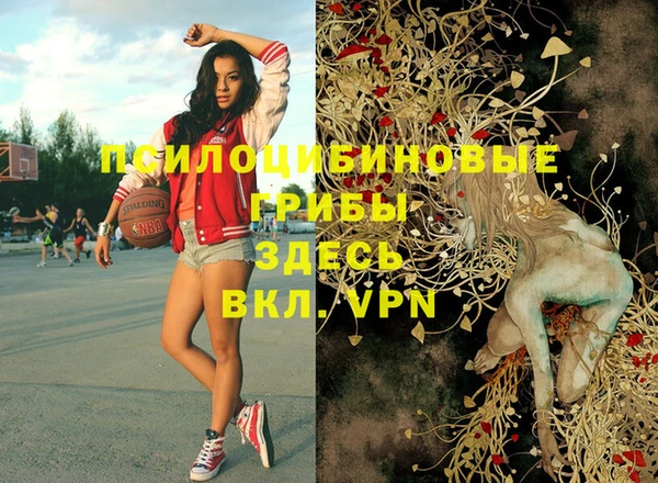 jwh Карпинск