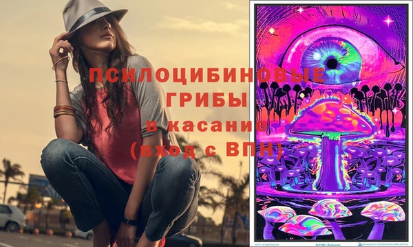стафф Касимов