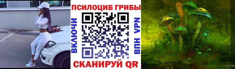 магазин  наркотиков  Кимры  Галлюциногенные грибы Cubensis 