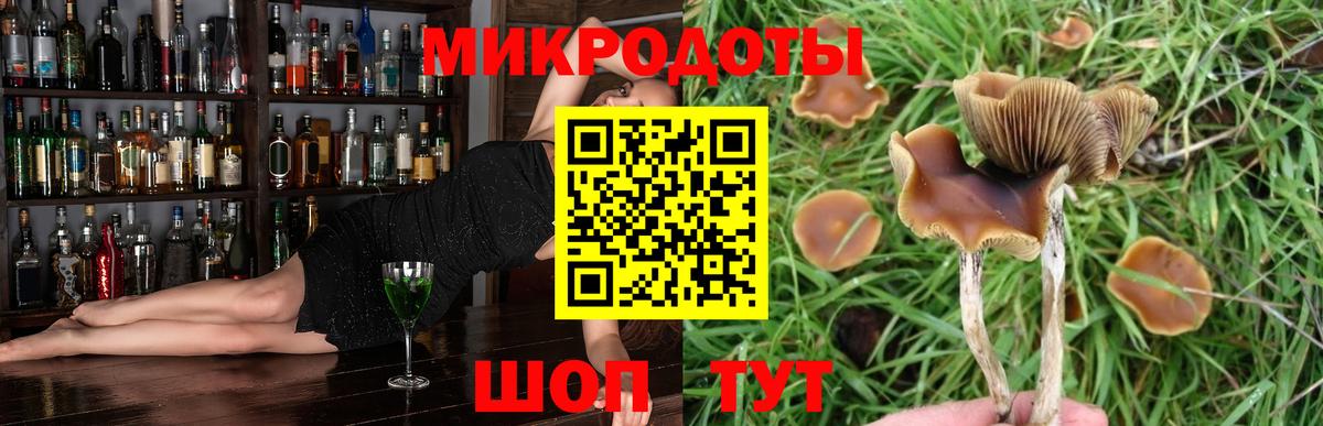 Галлюциногенные грибы мухоморы  Вход с VPN  Кимры 